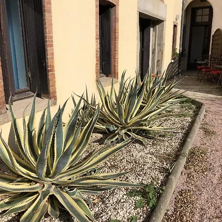 Chez Carca, Pied De Cite